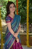 Nisha Agarwal Saree Photos